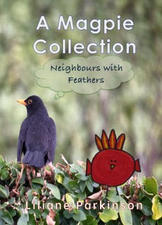 a-magpie-collection-cover