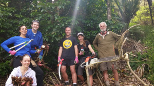 Friends Of Okura Bush, okura bush