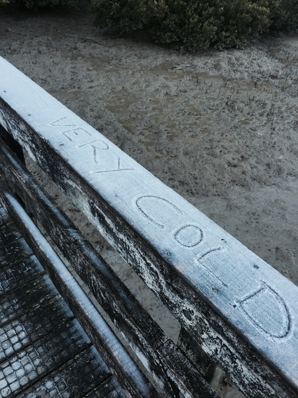 Frost, on the Bridge, in July