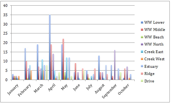 Rats (18 in October)