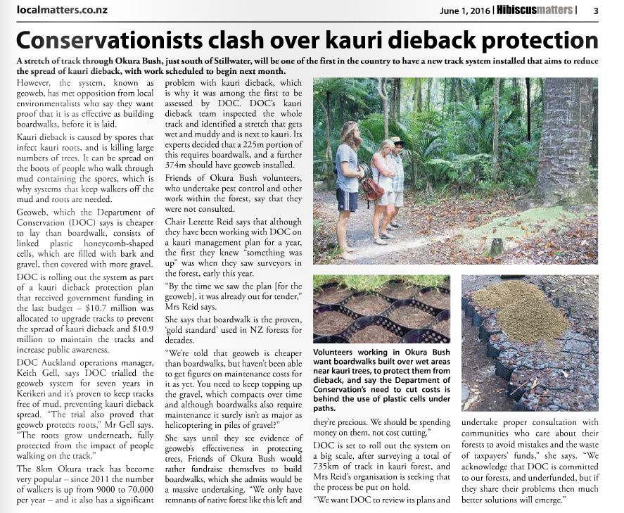 hibiscusmatters-conservationists-clash-over-kauri-dieback-protection