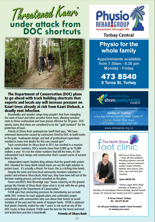 torbay-newsletter-threatened-kauri-under-attack-from-doc-shortcuts