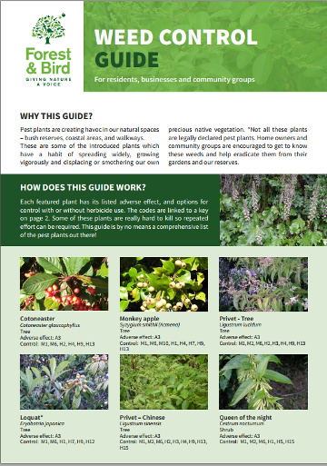 weed-control-guide-forest-bird-cover