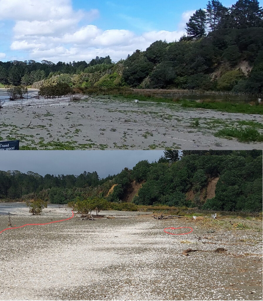 Before and after Cyclone Gabrielle.  Photo by Linda Gates.