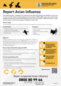 Avian Influenza Factsheet